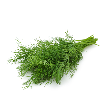 Product Gallery Image - #1