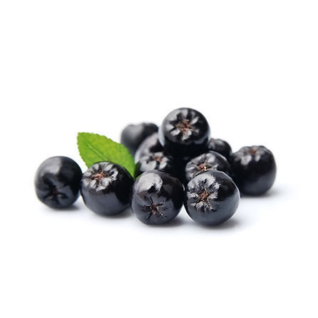 Product Gallery Image - #1