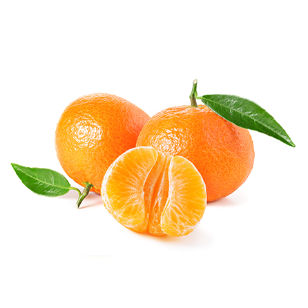 Product Gallery Image - #1