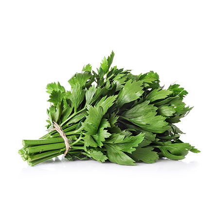 Product Gallery Image - #1