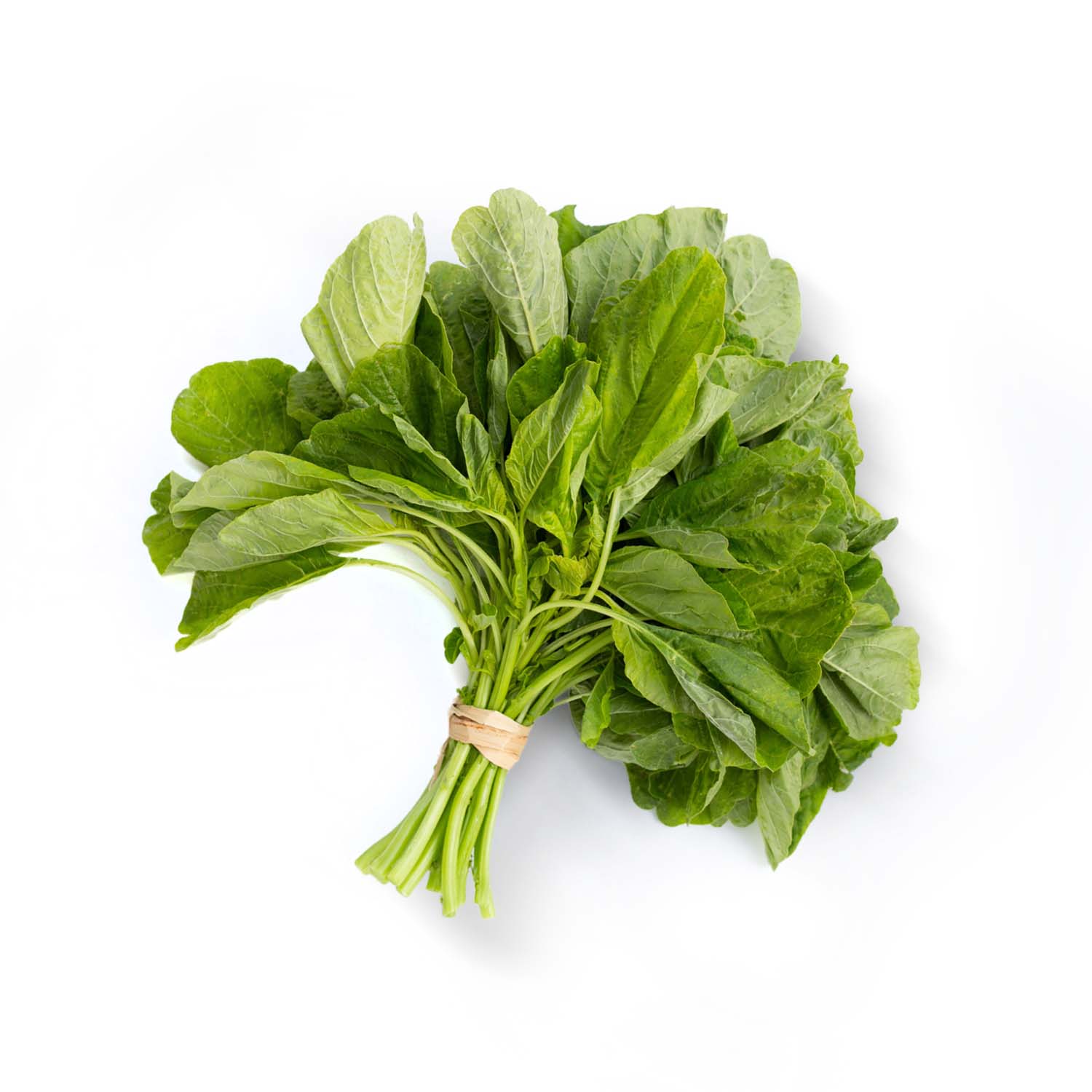 Product Gallery Image - #1