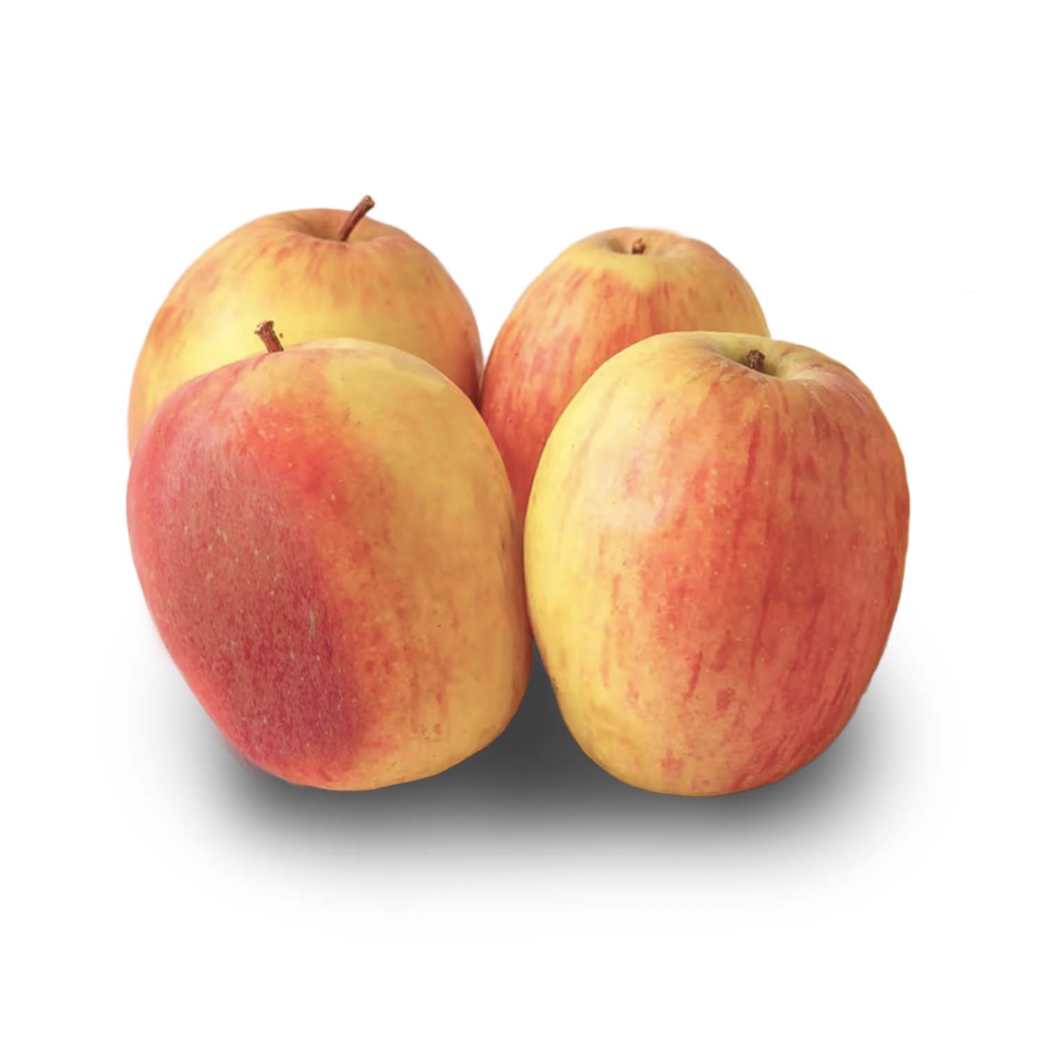 Product Gallery Image - #1