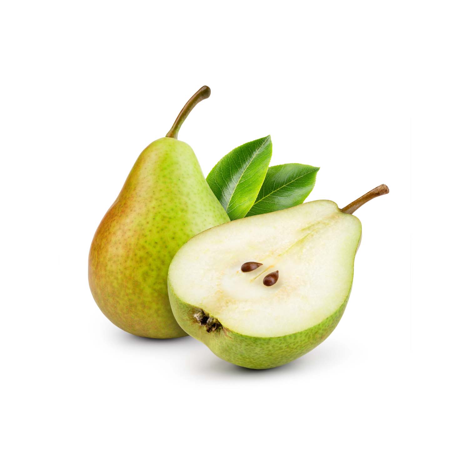 Product Gallery Image - #1