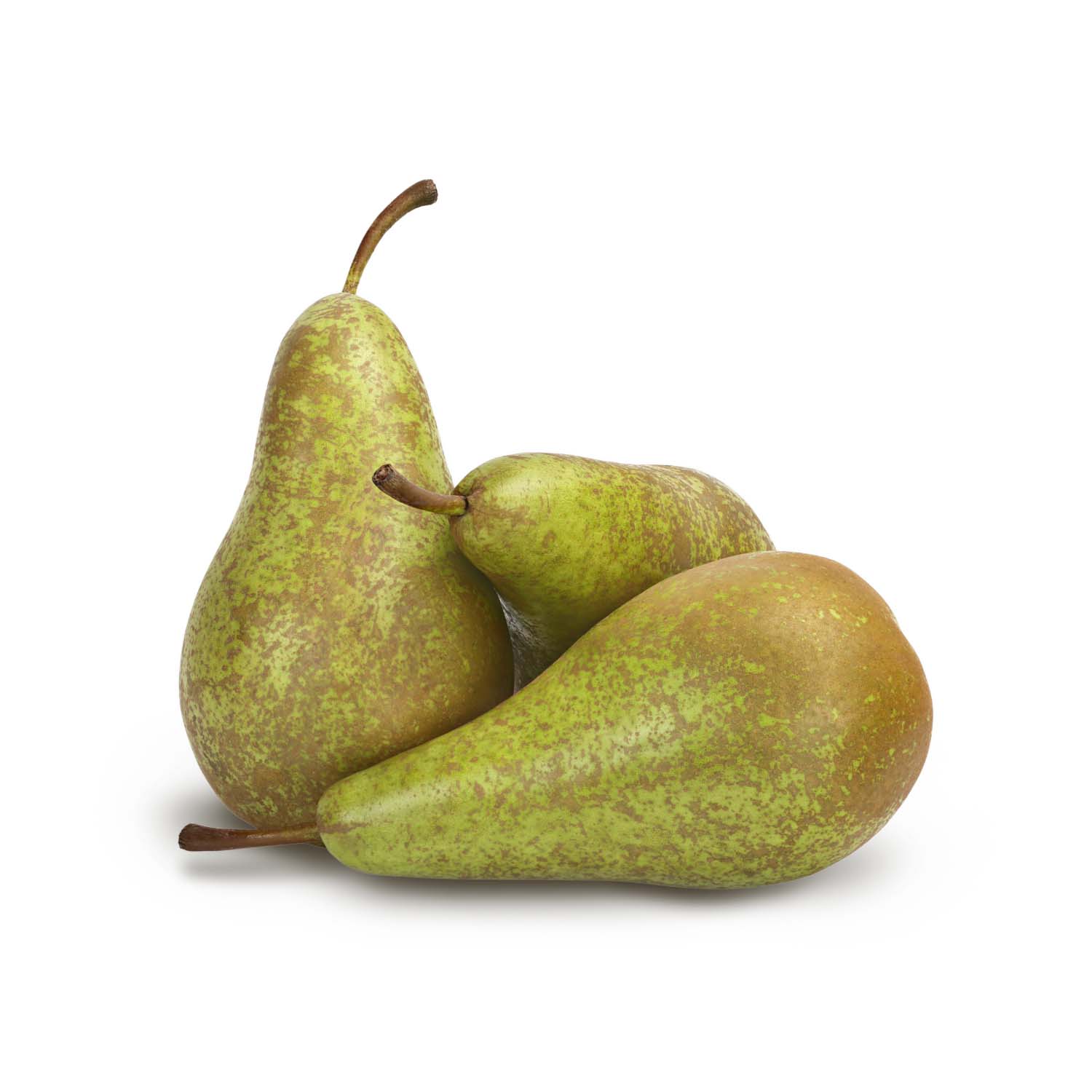 Product Gallery Image - #1