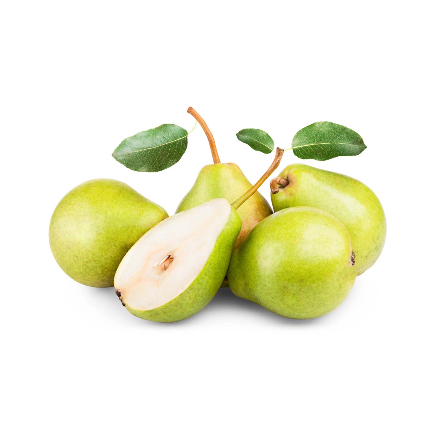 Product Gallery Image - #1