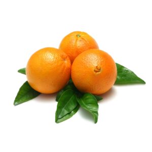 Πορτοκάλια Navel
