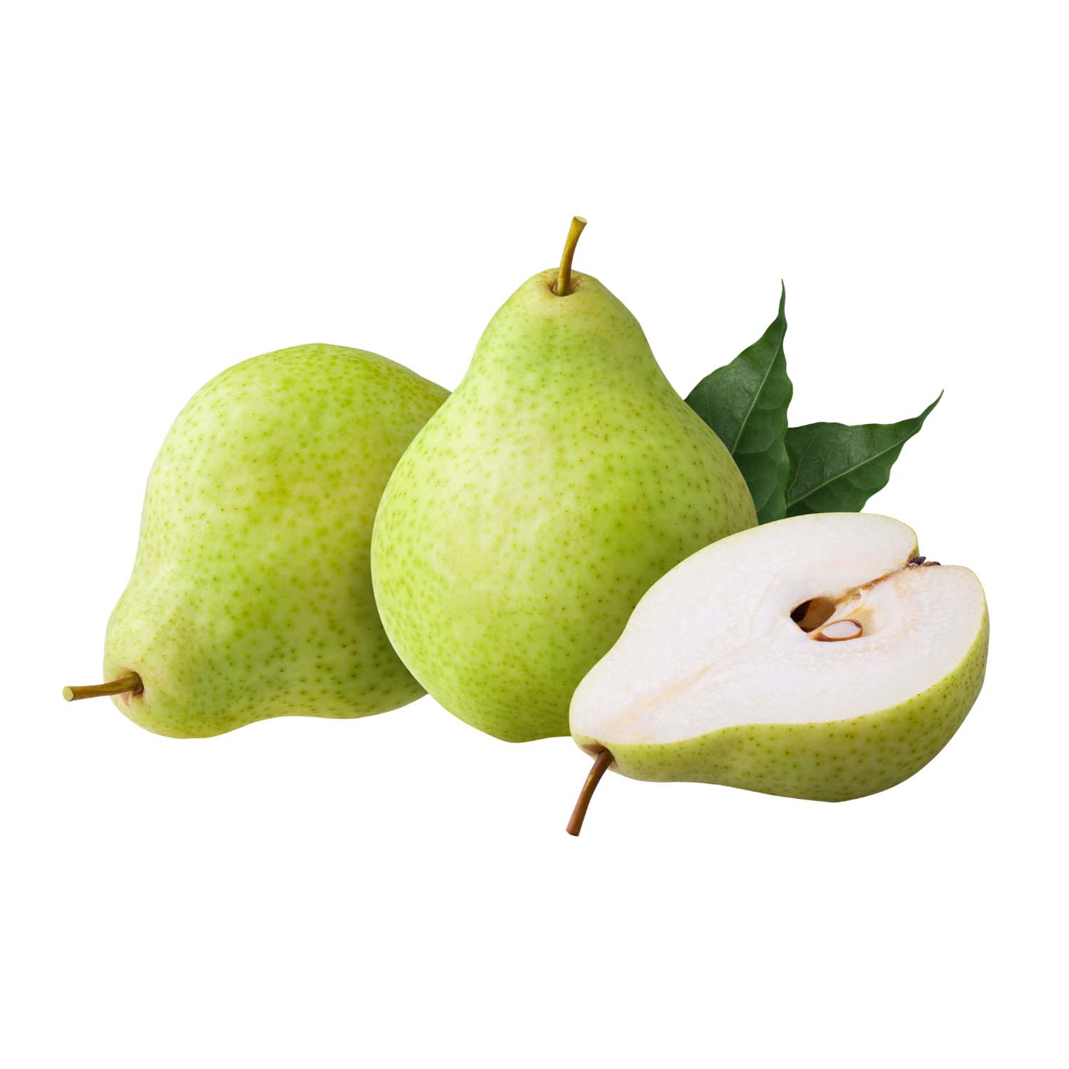 Product Gallery Image - #1