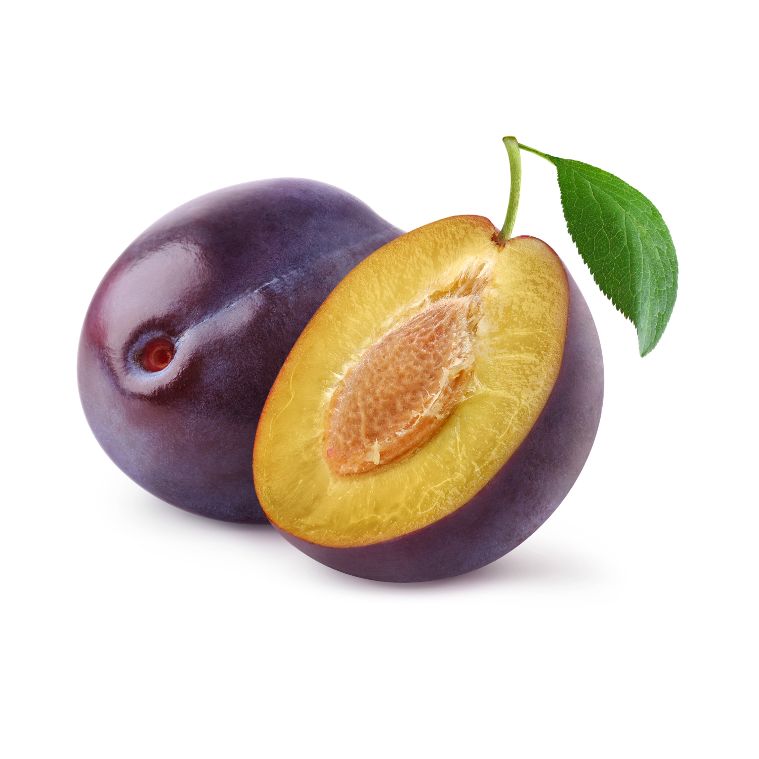 Product Gallery Image - #1