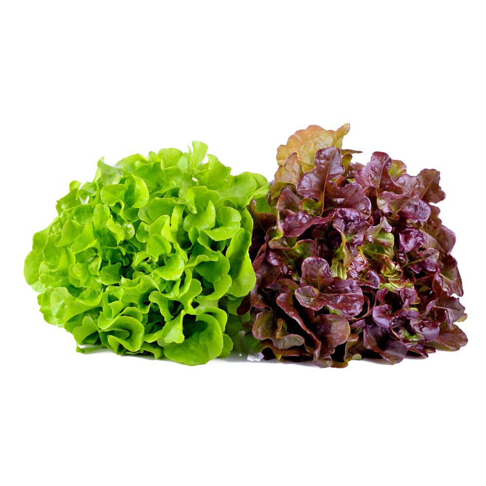 Product Gallery Image - #1