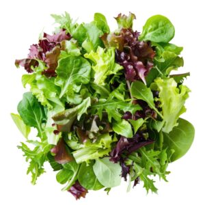Mixed baby leaves Salad 125gr pack BIO