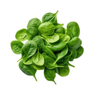 Baby Spinach Salad 125gr pack BIO
