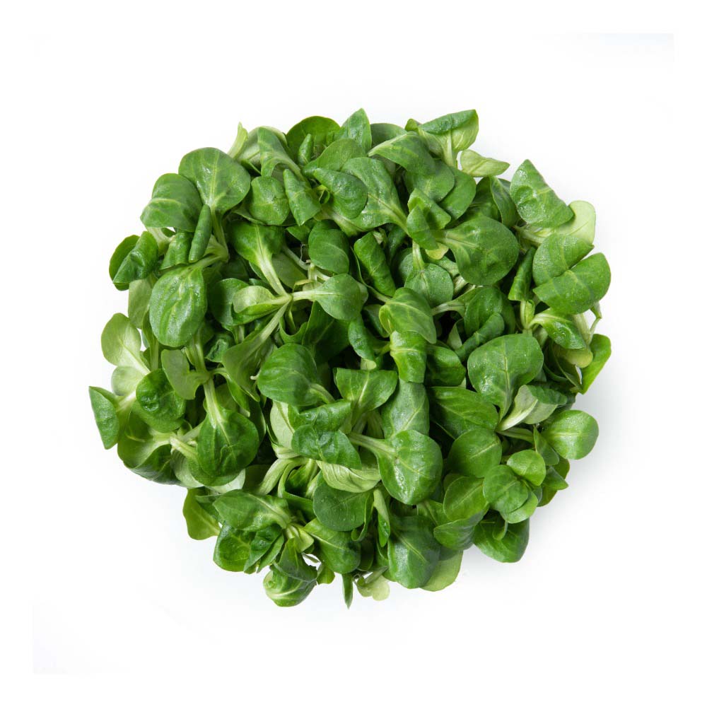 Product Gallery Image - #1